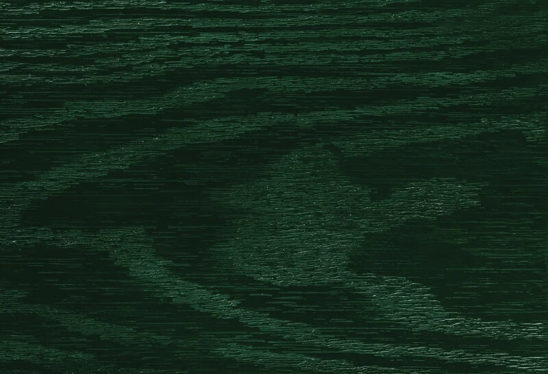 Green Color Swatch
